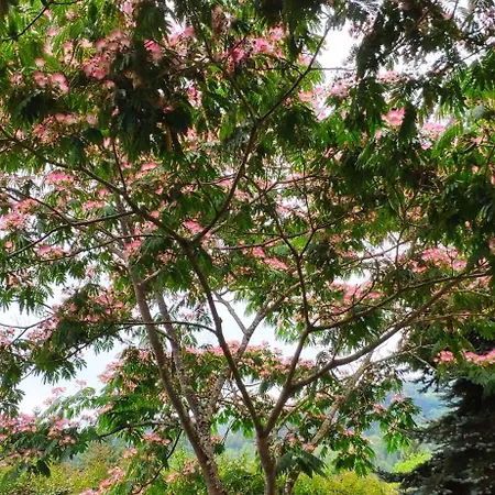 Hazas 39 Tatil Evi Liendo