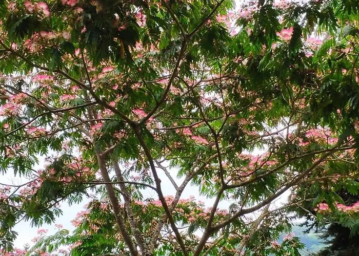 Hazas 39 بيت للعطل لييندو